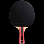 Load image into Gallery viewer, Sport 300 paddle
